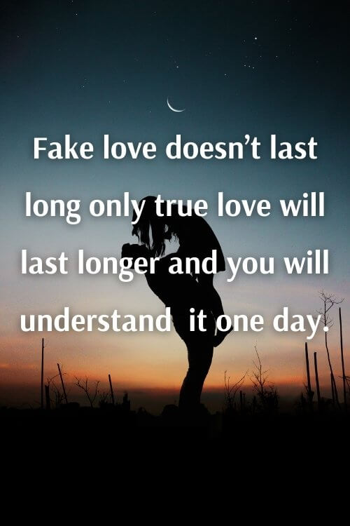 84 Best Fake Love Quotes & Sayings That Every Broken Heart Can Relate