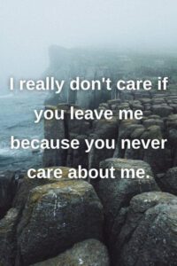 134 Best I Don’t Care Quotes for Your Current Mood - getchip