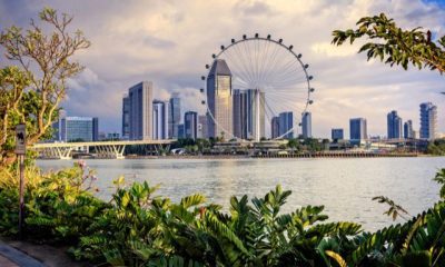 expats-guide-to-living-in-singapore