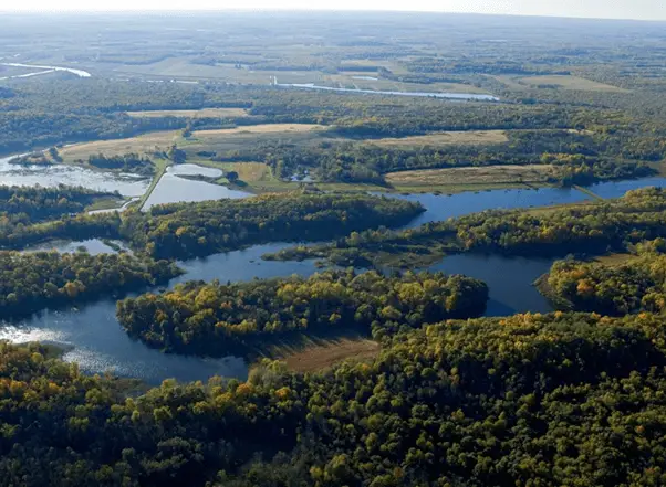 exploring-howlands-island-wildlife-management-area-a-unique-ecosystem