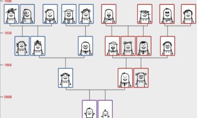 uncovering-the-benefits-of-researching-your-family-tree