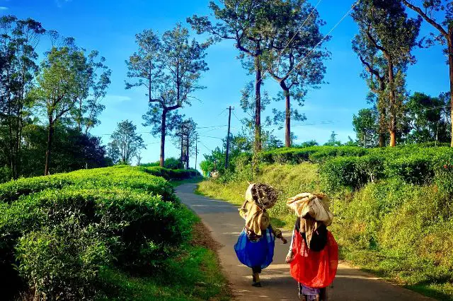 Wayanad, Kerala