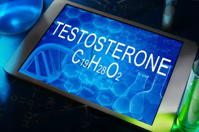 comprehensive-guide-to-why-measuring-testosterone-matters