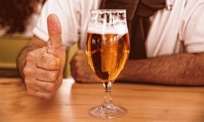 Craft Beer for Every Palate How to Select the Right One for You