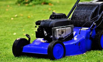 Best Gadgets for Effortless Lawn Care