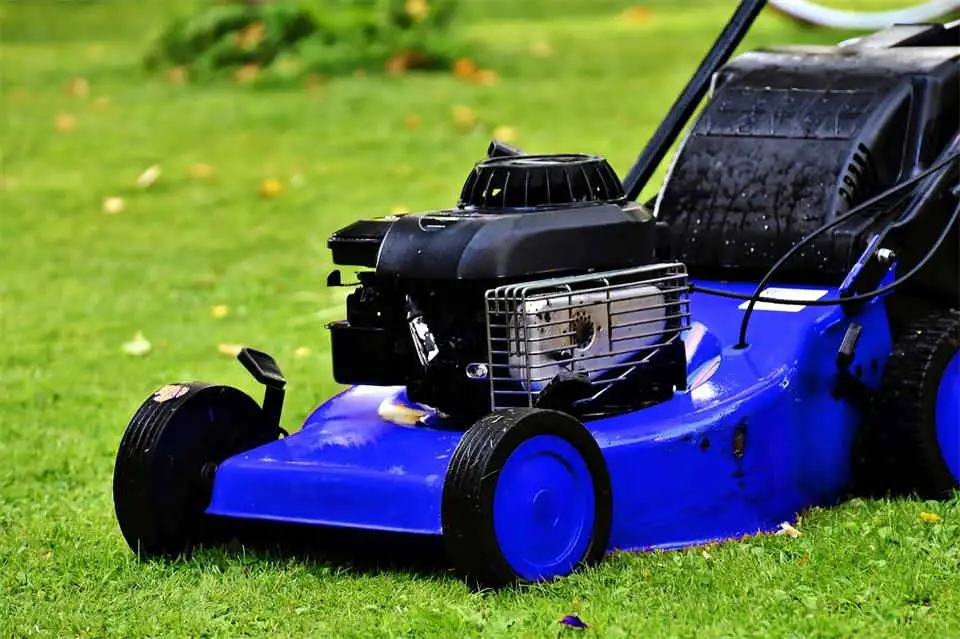 Best Gadgets for Effortless Lawn Care