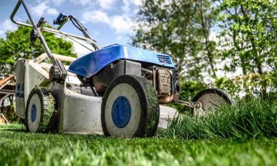 When Robots Mow and Humans Plant Balanced Garden Approach