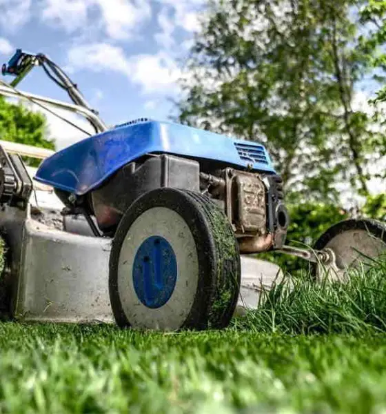 When Robots Mow and Humans Plant Balanced Garden Approach