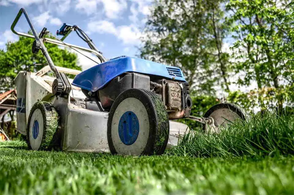 When Robots Mow and Humans Plant Balanced Garden Approach