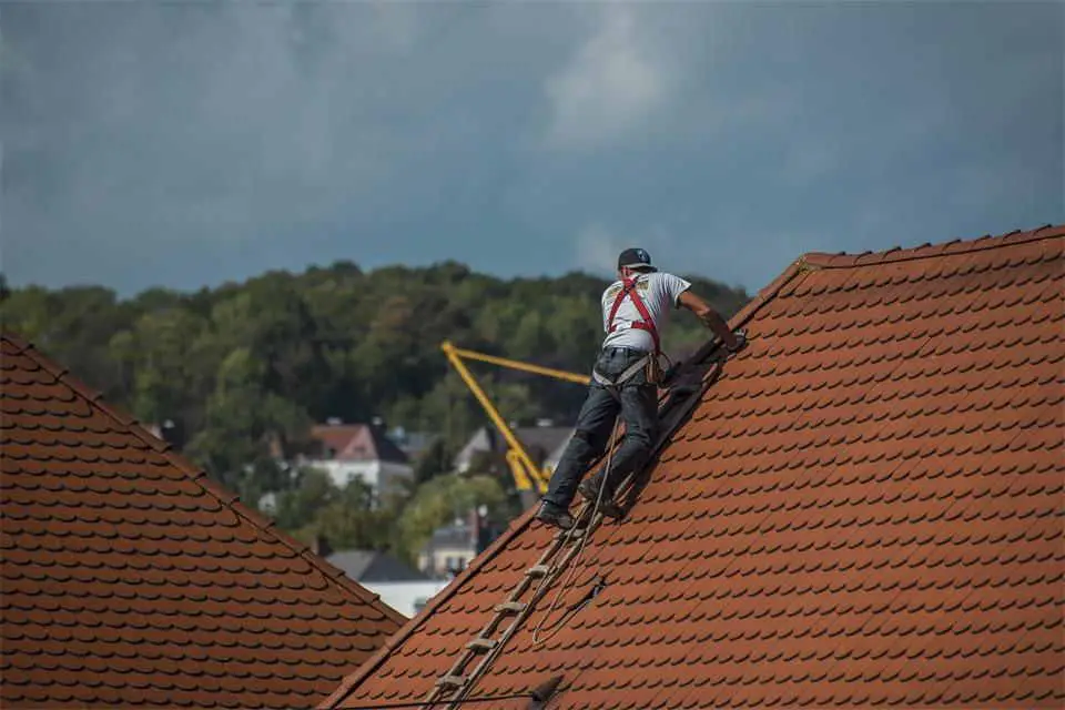 Reasons Why Delaying Commercial Roofing Repairs Can Cost Your Business Big Time
