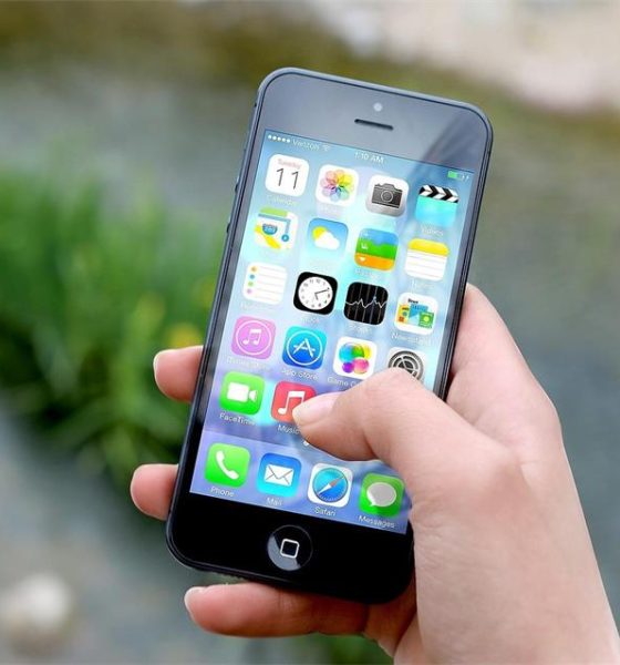 Why Smooth Interfaces Matter More During Live Sports Moments How Platforms Shape Split-Second Decisions