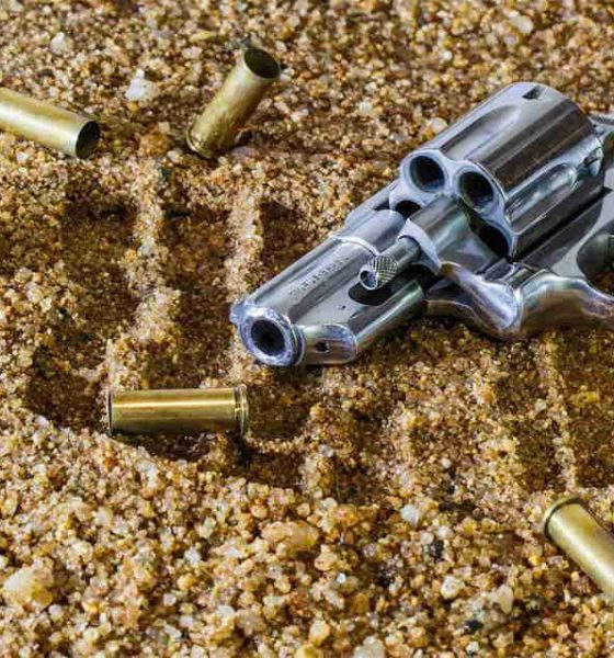 Reasons to Fight a Gun Charge