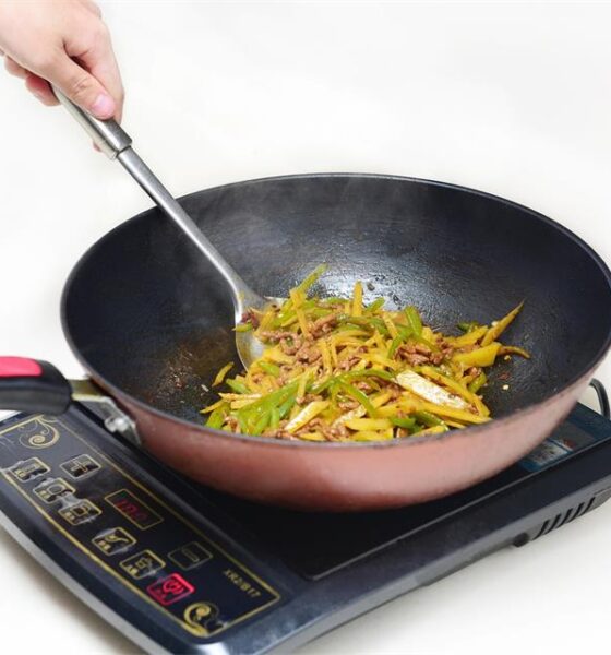 Quiet Piece of Materials Science Sitting Under Your Induction Pan